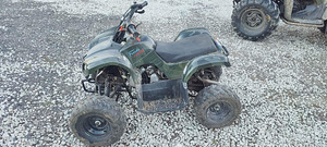 Atv freedo junior 110 cc (2 foto / 4)