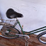 Велосипед Tunturi (фото #1)