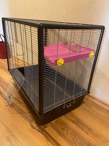 Mahukas kast rottidele / Roomy cage for närilised
