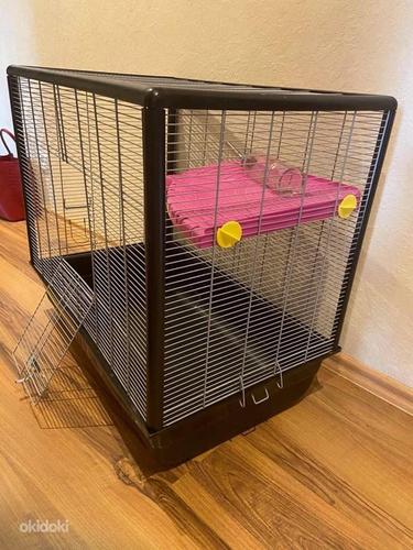 Mahukas kast rottidele / Roomy cage for närilised (foto #1)