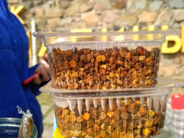Перга (натуральный продукт бджолярства) (фото #2)
