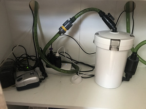 Akvaarium 60L + täis varustus (8 foto / 10)