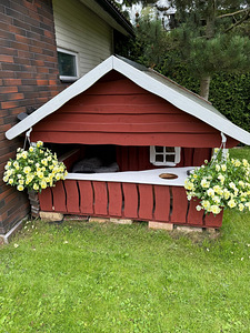 SUUR KOERAMAJA/kuut (1 foto / 3)