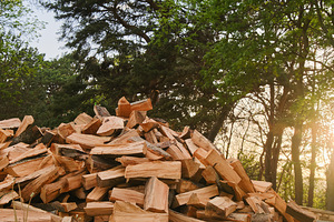 Küttepuud Türil (1 foto / 1)