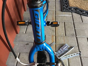 Ülikerge lastejalgratas Giant ARX 16″ F/W Sapphire (7 foto / 10)