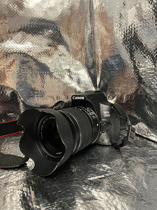 Canon 250D + Canon EF-S 18-55mm f/3.5-5.6 (1 foto / 5)