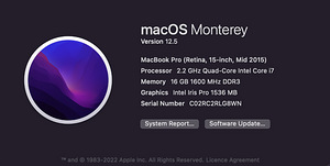 Macbook Pro (Retina, 15-Inch, Mid 2015) (10 foto / 10)