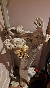 Коряги (4 фото из 4)