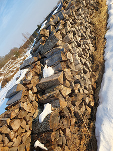 Сухие дрова (6 фото из 7)