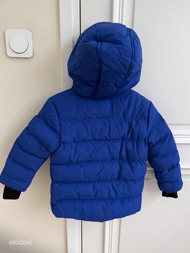 Зимняя куртка Ted Baker (98 см) (фото #2)