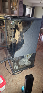 Terraarium paludarium (6 foto / 8)