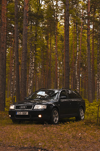 Audi a6c5 (3 фото из 7)