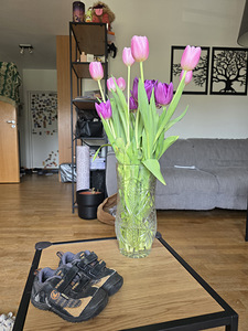 Jalanõud 22-26 (3 foto / 8)