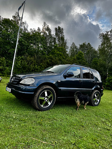 Müüa/vahetada: Mercedes Benz ML320 163kW (2 foto / 8)