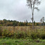 Земельный участок в деревне Раудоя, волость Ания (фото #2)