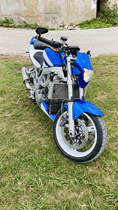 M: suzuki sv1000 (2 foto / 7)