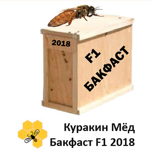 Пчелопакеты и Матки Бакфаст 2018