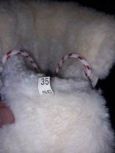 Продам детскую обувь (5 фото из 6)