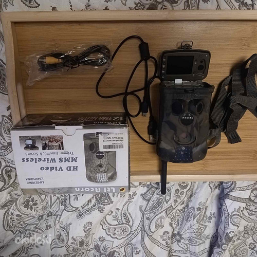 Лесная камера HD