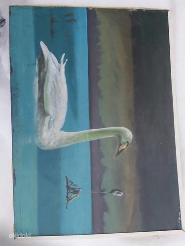 Масляная картина на фанере "Белый лебедь" (фото #1)