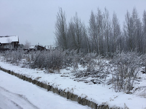 Участок в деревне Животино