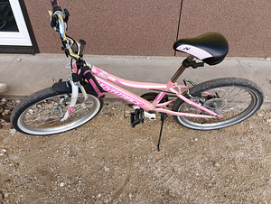 Велосипед для девочек Novatrack Alice 20"