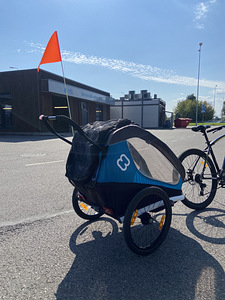Jalgrattahaagis lastele 2 kohta (2 foto / 8)