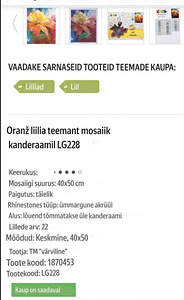 Seinapilt teemantmosaiik Orans Lilia (6 foto / 6)
