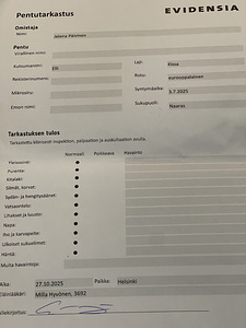 Kaunis musta tyttö kissanpentu jouluksi kotiin (6 valokuva sivusta 7)