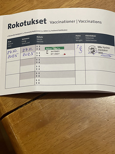 Kaunis musta tyttö kissanpentu jouluksi kotiin (7 valokuva sivusta 7)