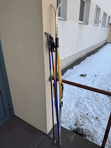 Visu uisusuusad 186cm + kepid 155cm (1 foto / 3)