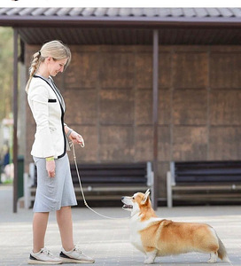 Pembroke welsh corgi kutsikad (7 foto / 7)