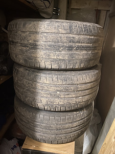 SuveRehvid (1 foto / 10)