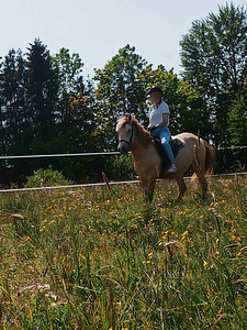 UUT KODU OTSIB EESTI TOUGU POISS RUUDI!🐴 (3 foto / 7)