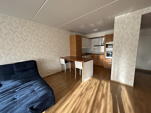 Liikuri tn 8a, Lasnamäe, Tallinn, Harjumaa (7 фото из 9)