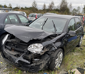 VW GOLF V 2,0 DIISEL, AUTOMAAT, VARUOSAD (2 foto / 10)