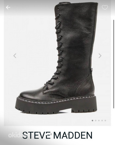 STEVE MADDEN