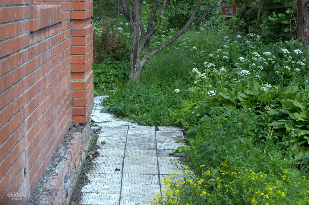 Прописка Москва Купить Участок