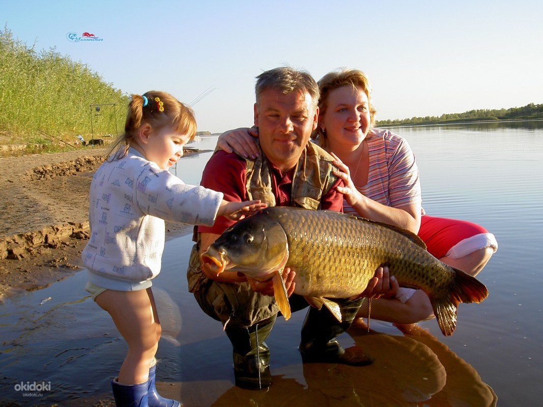 Рыбалка с проживанием волга. База Углянское река Ахтуба. Рыбалка в Астрахани Харабали. Семья на рыбалке. Рыболовные места.
