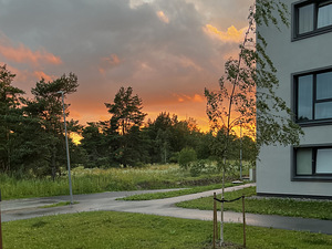 Viieaia tee 11/2, Laiaküla, Viimsi vald, Harjumaa (17 foto / 23)