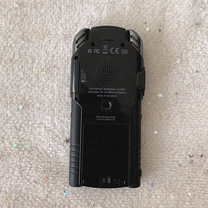 Camcorder Olympus LS20M (audio/video) (5 foto / 6)