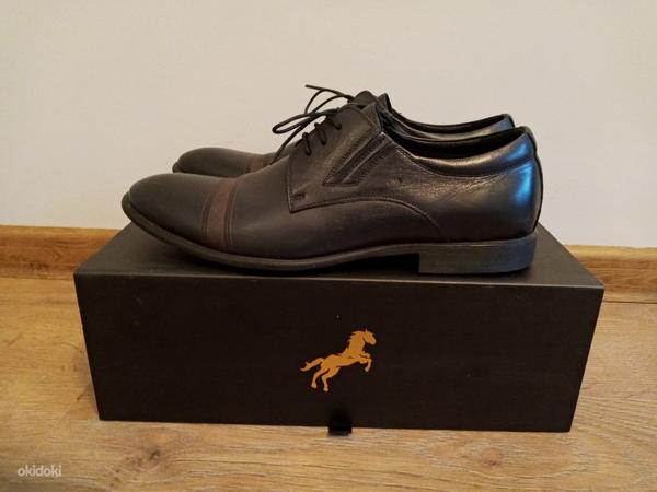 Мужские кожаные туфли La Conte в коробке. (фото #2)