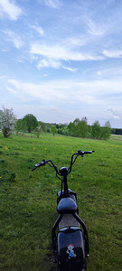 Elektritõukeratas Citycoco (2 foto / 4)