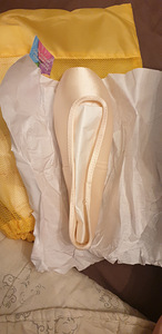 Gaynor Mindeni balletikingad (2 foto / 3)
