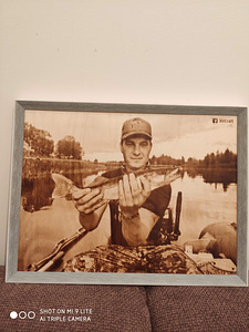 Pilt põletatud vineeril (3 foto / 10)
