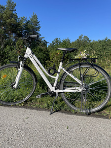 Naiste hübriidratas (1 foto / 6)