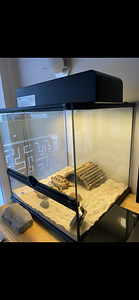 Terrarium Exo Terra 45x45x45cm (7 foto / 7)