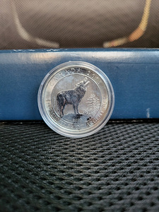 0,75 oz 2015 Kanada hunt hõbemünt (1 foto / 2)