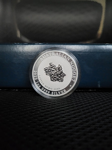 1 oz Austraalia Perth Mint hõbemünt (erinevad) (3 foto / 10)