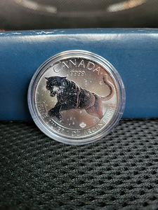 1 oz Kanada RCM hõbemünt (erinevad) (3 foto / 10)